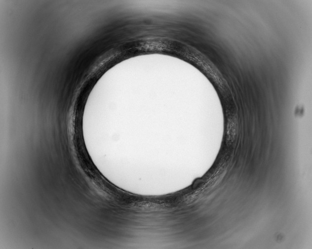 X0000103420722200810101018