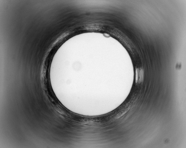 X0000103420723200810101018