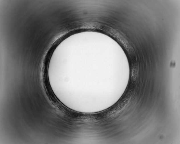 X0000103420724200810101018