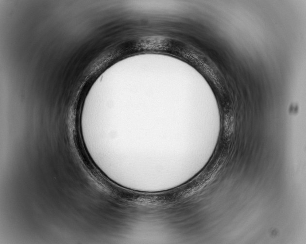X0000103420725200810101018