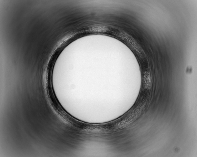 X0000103420726200810101018
