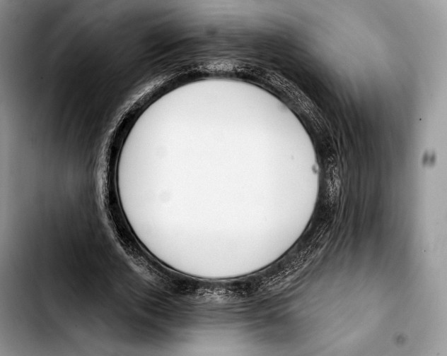 X0000103420728200810101018