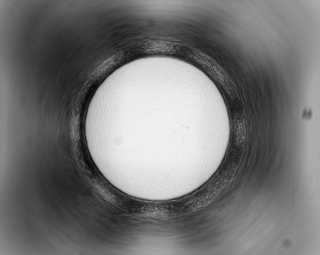 X0000103420729200810101018