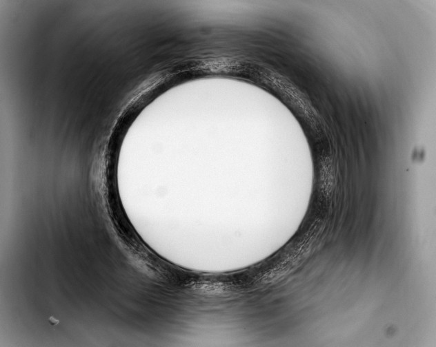 X0000103420730200810101018
