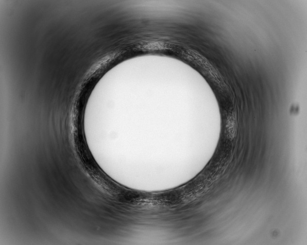 X0000103420732200810101018