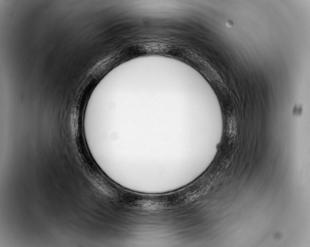 X0000103420733200810101018