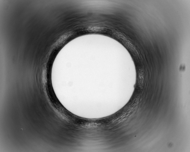 X0000103420734200810101018