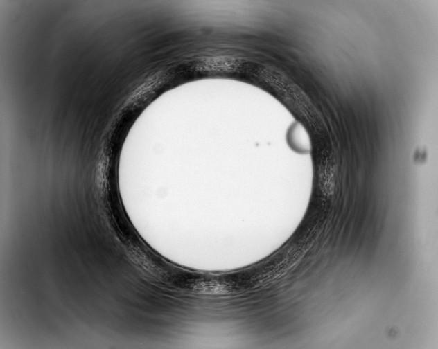X0000103420735200810101018