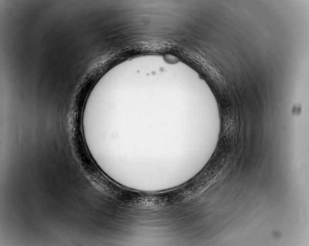 X0000103420736200810101018