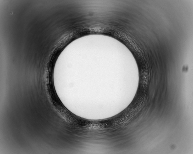 X0000103420738200810101018