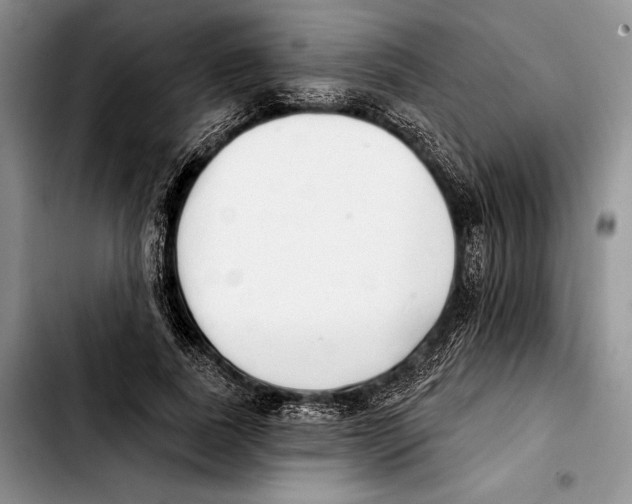 X0000103420739200810101018