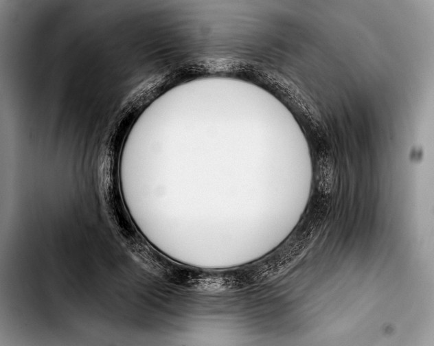 X0000103420740200810101018