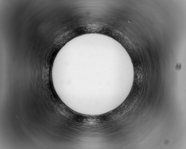 X0000103420745200810101018