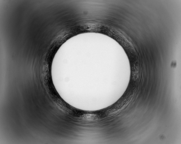 X0000103420748200810101018