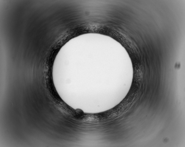 X0000103420750200810101018