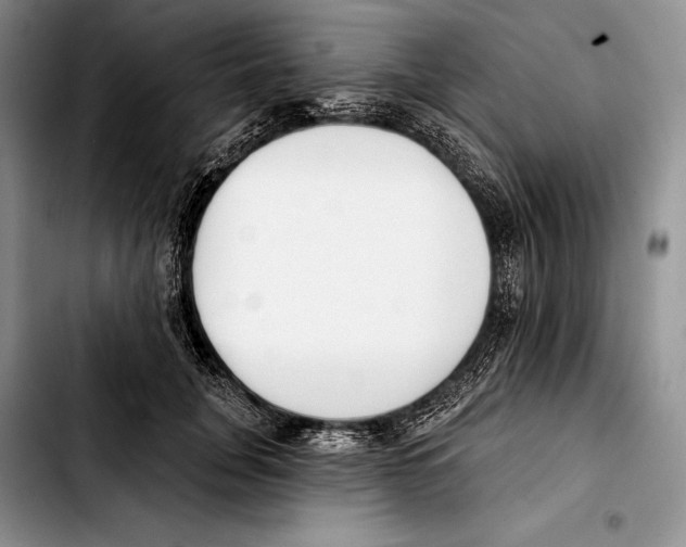 X0000103420751200810101018