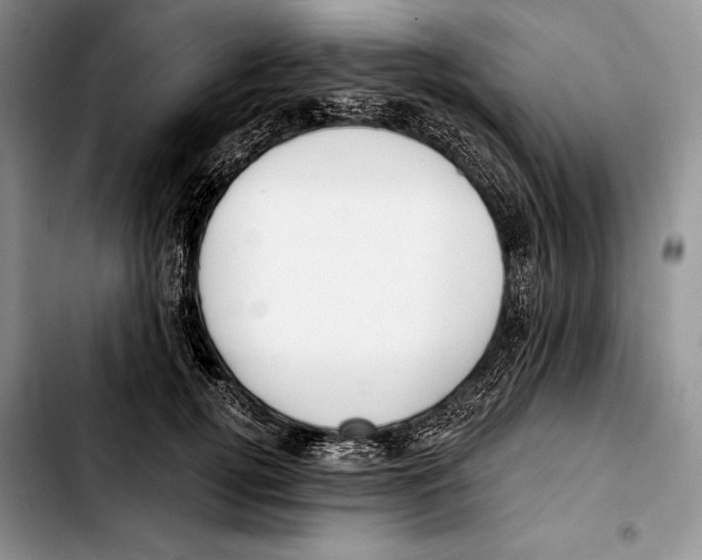 X0000103420752200810101018