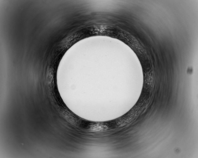 X0000103420754200810101018