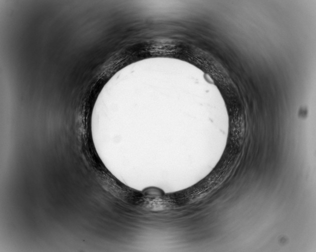 X0000103420755200810101018