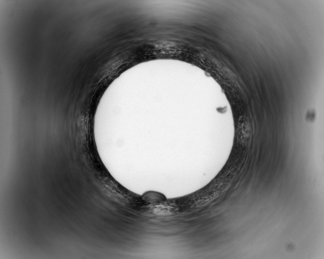 X0000103420756200810101018