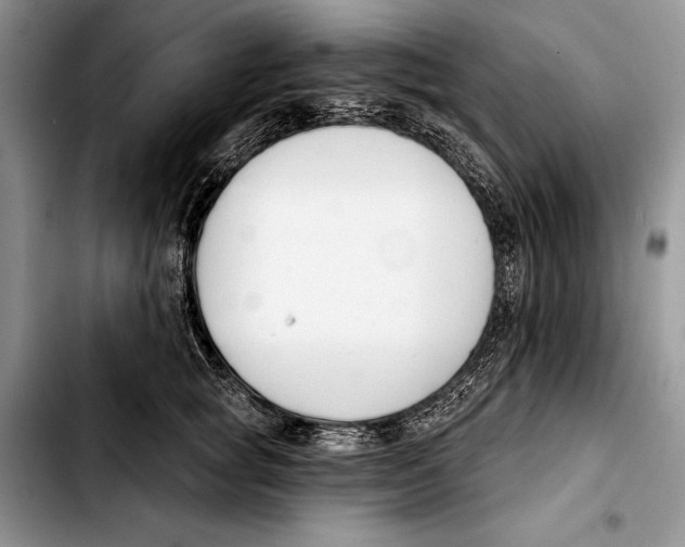 X0000103420757200810101018