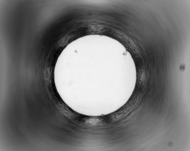 X0000103420759200810101018