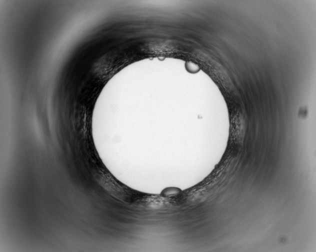 X0000103420762200810101019