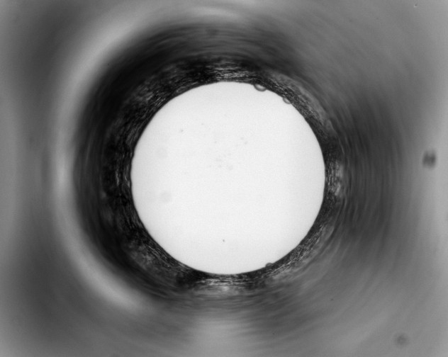 X0000103420763200810101019