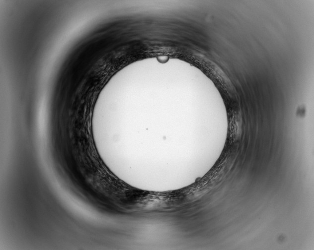 X0000103420764200810101019