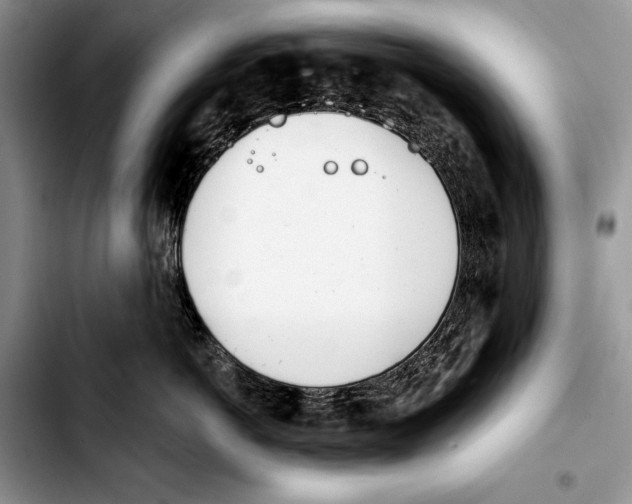 X0000103420766200810101019