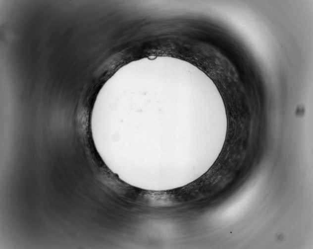 X0000103420767200810101019