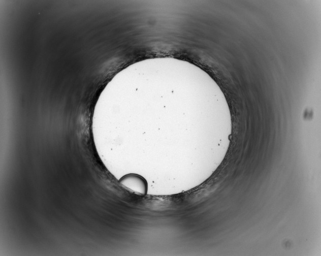 X0000103420768200810101019