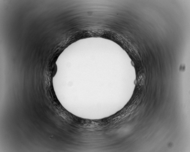 X0000103420772200810101018