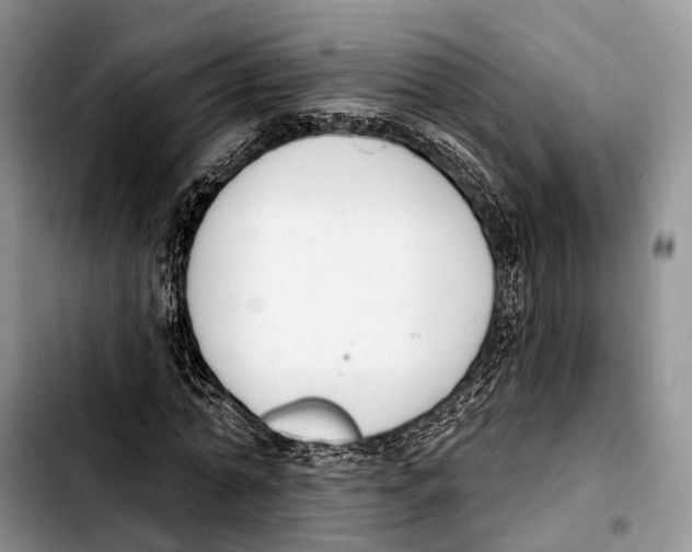 X0000103420774200810101018