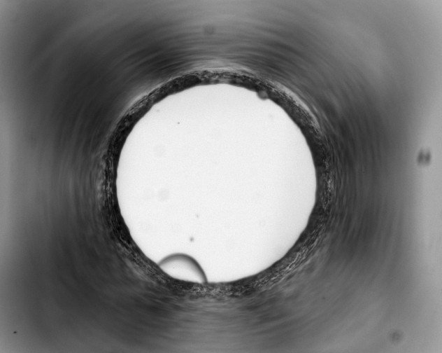 X0000103420775200810101018