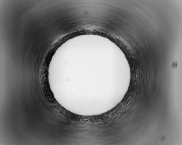X0000103420776200810101018