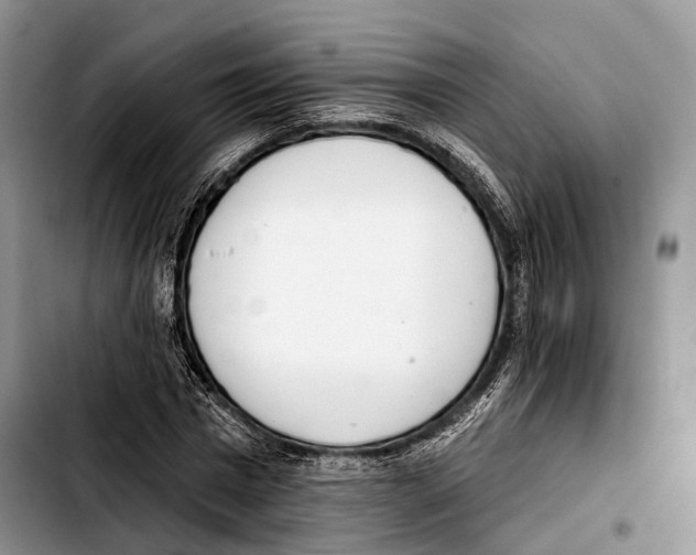 X0000103420777200810101018