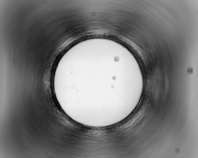 X0000103420778200810101018