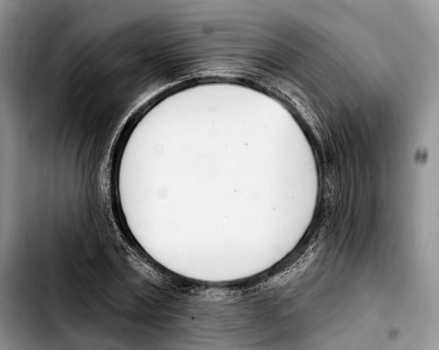 X0000103420779200810101018