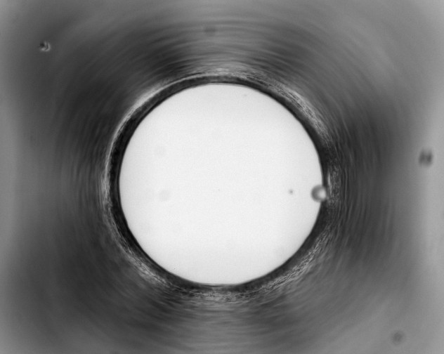 X0000103420780200810101018