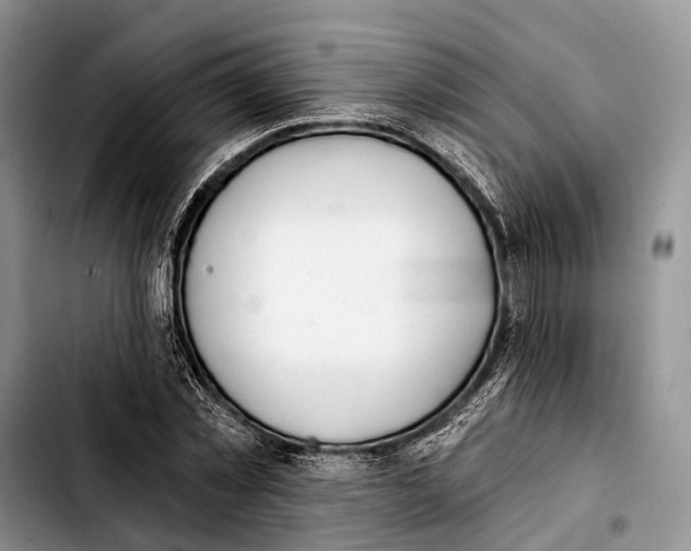 X0000103420781200810101018