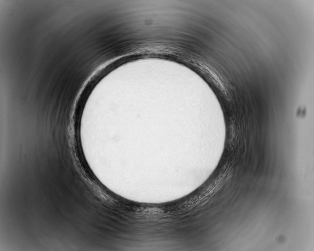 X0000103420784200810101018