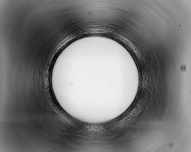 X0000103420786200810101018