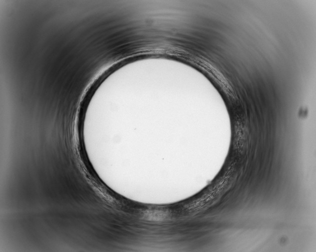 X0000103420788200810101018