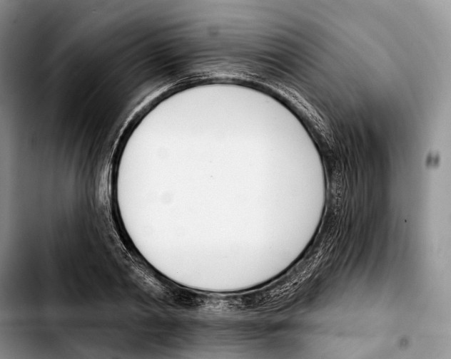 X0000103420790200810101017