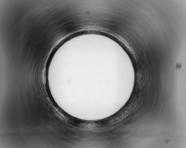 X0000103420791200810101017