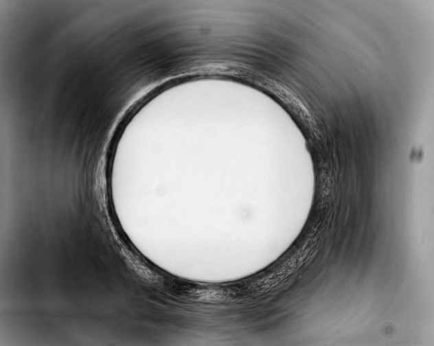 X0000103420792200810101017