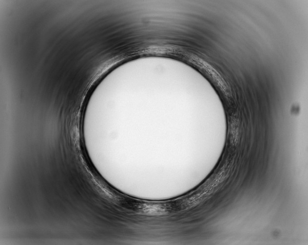 X0000103420794200810101017
