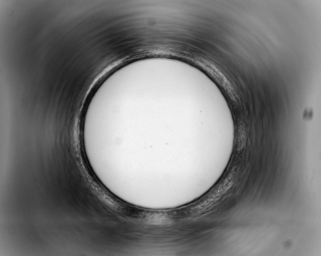 X0000103420798200810101017