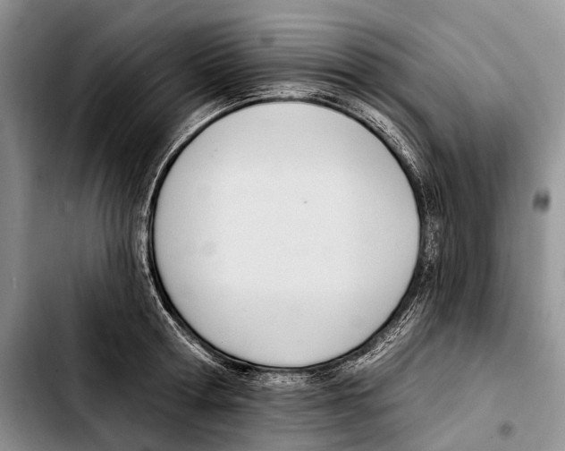 X0000103420802200810101017